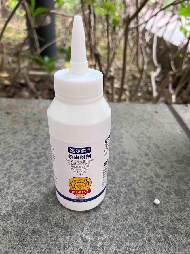 宿舍臭虫怎么彻底消灭？臭虫怎么消灭用什么药专家解析！(图3)
