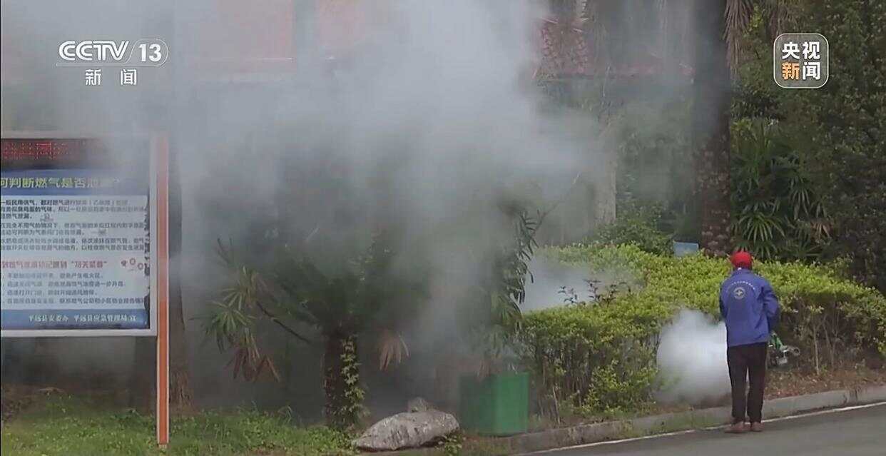 从集中消杀到生物防治广东全民总动员开启大灭蚊！(图2)