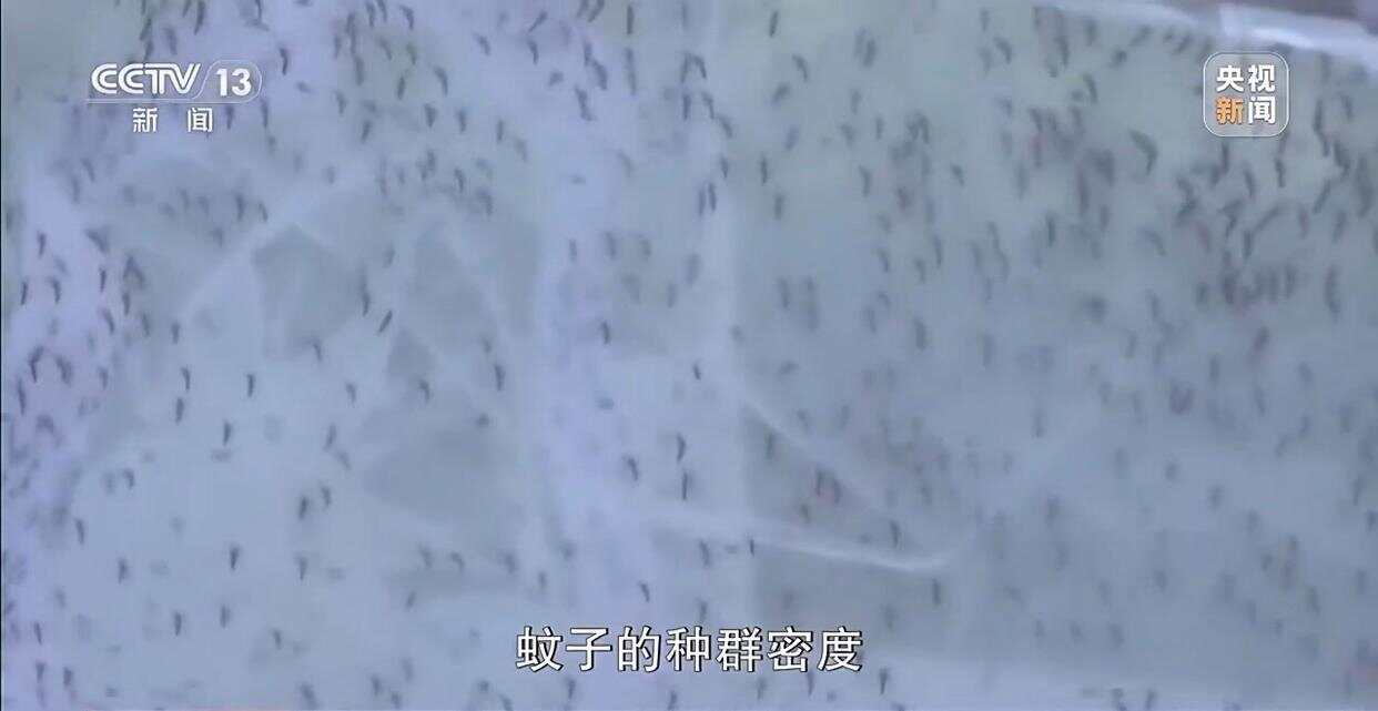 从集中消杀到生物防治广东全民总动员开启大灭蚊！(图8)