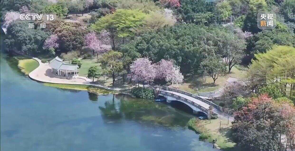 从集中消杀到生物防治广东全民总动员开启大灭蚊！(图9)