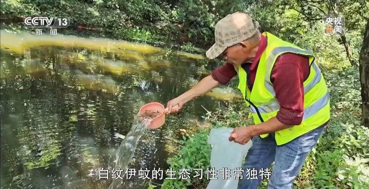 从集中消杀到生物防治广东全民总动员开启大灭蚊！(图11)