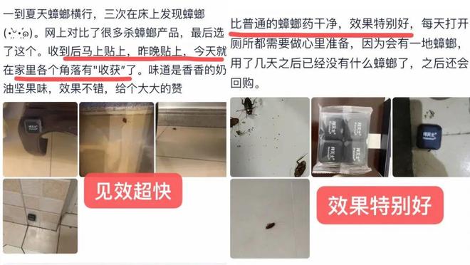 为什么小强打不死？药不死？蟑螂到底怎么除？（建议收藏）(图2)