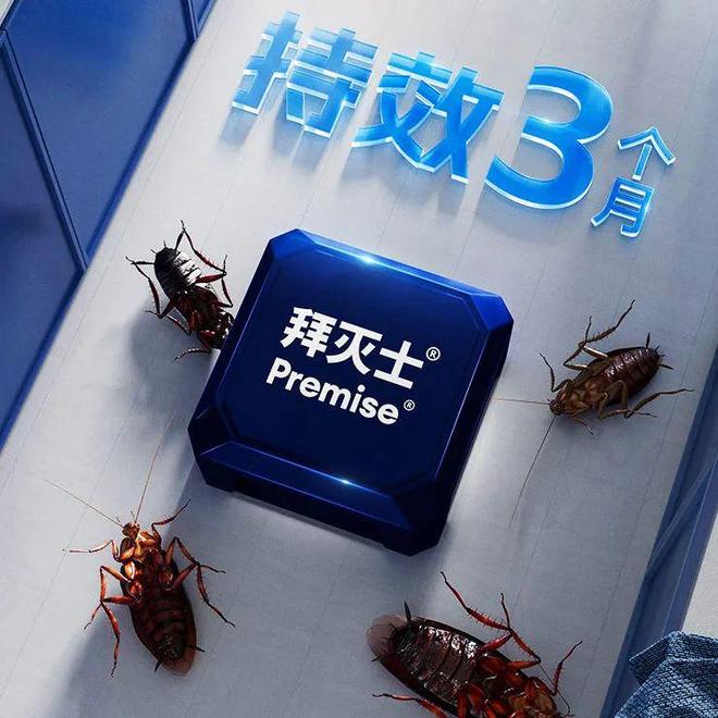 为什么小强打不死？药不死？蟑螂到底怎么除？（建议收藏）(图1)