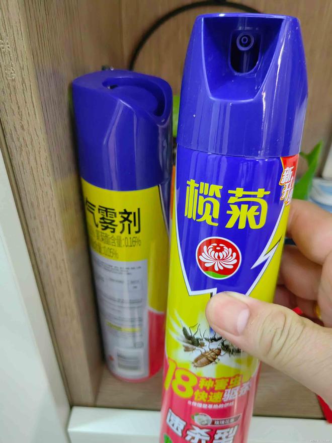 家里有小黑蚂蚁怎么能彻底消灭家有蚂蚁用什么药能彻底清除！(图3)