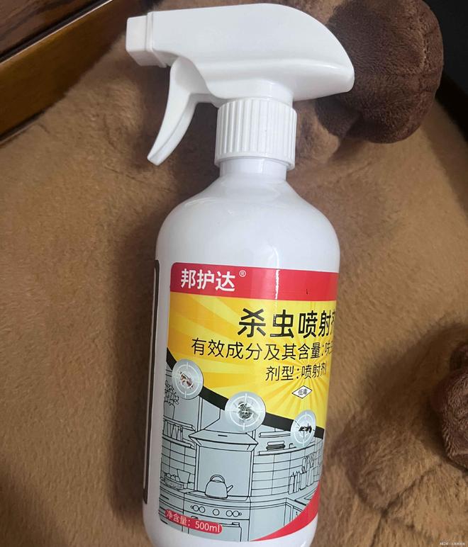 红蚂蚁消灭最简单三个步骤家有蚂蚁用什么药能彻底清除！(图2)