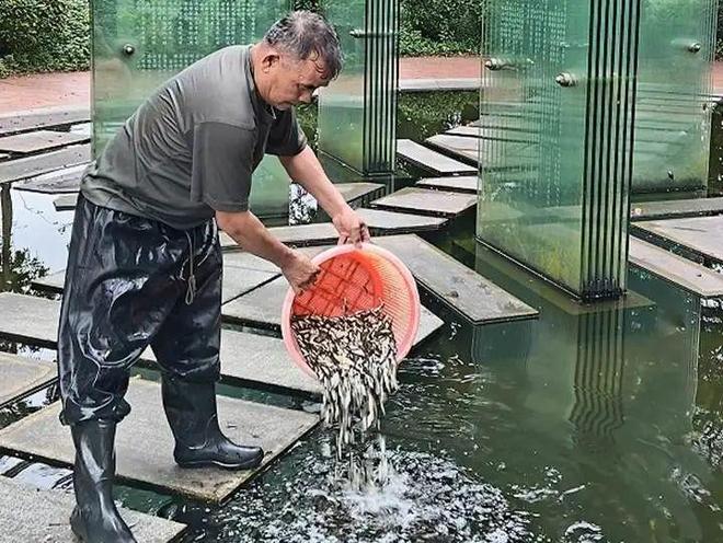 【健康教育】“蚊子消失术”！广东高校这样防蚊灭蚊(图4)