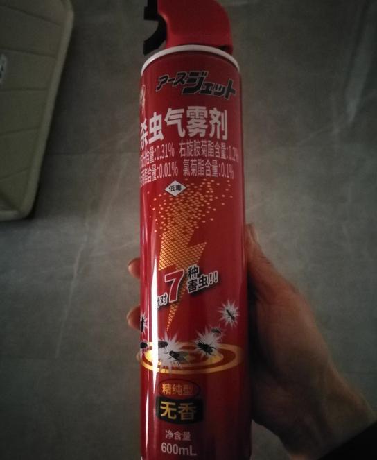 除白蚂蚁最有效方法？防治白蚁特效药哪款好专业解析！(图4)