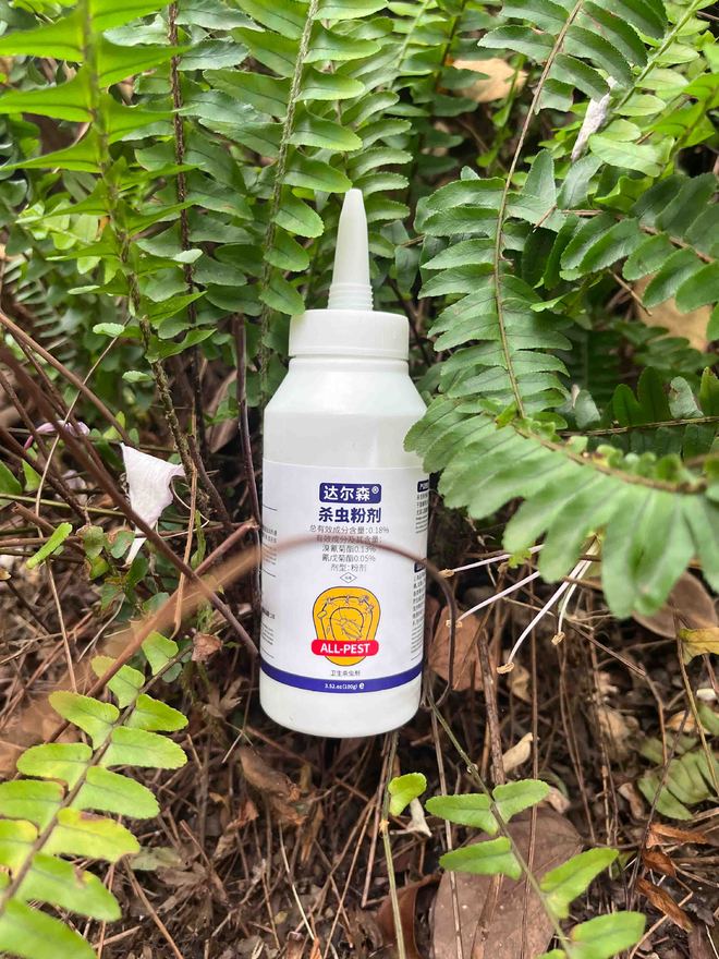 除白蚂蚁最有效方法？防治白蚁特效药哪款好专业解析！(图3)