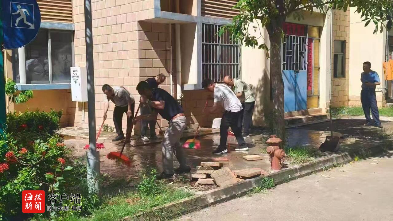 海口秀英区开展“铲除蚊虫孳生地共筑健康防线”专项灭蚊消杀行动(图1)