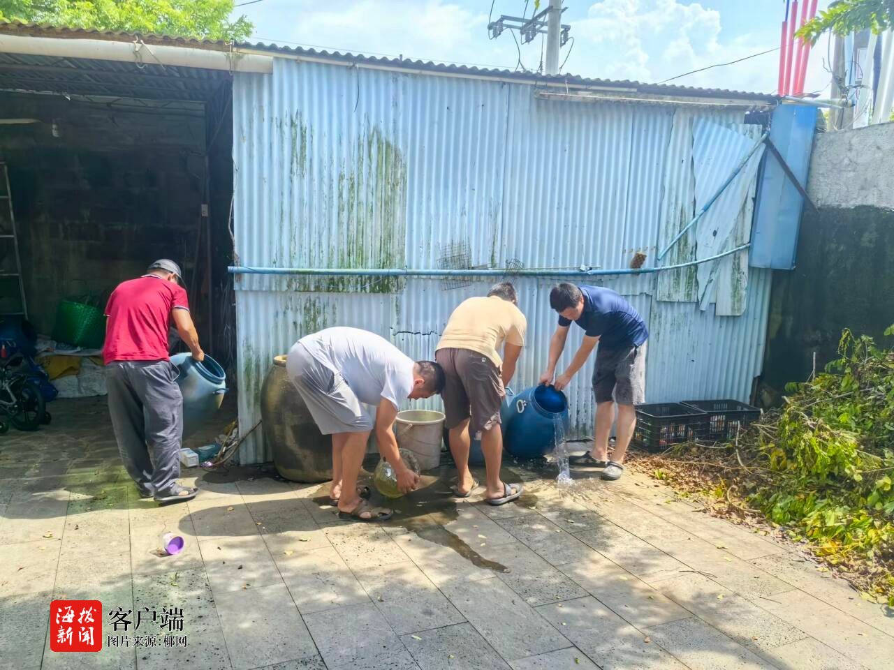 海口秀英区开展“铲除蚊虫孳生地共筑健康防线”专项灭蚊消杀行动(图4)