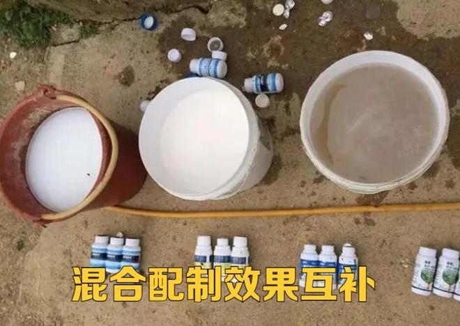 害虫防治一定要从消灭虫卵开始那么问题来该用什么药呢？(图5)