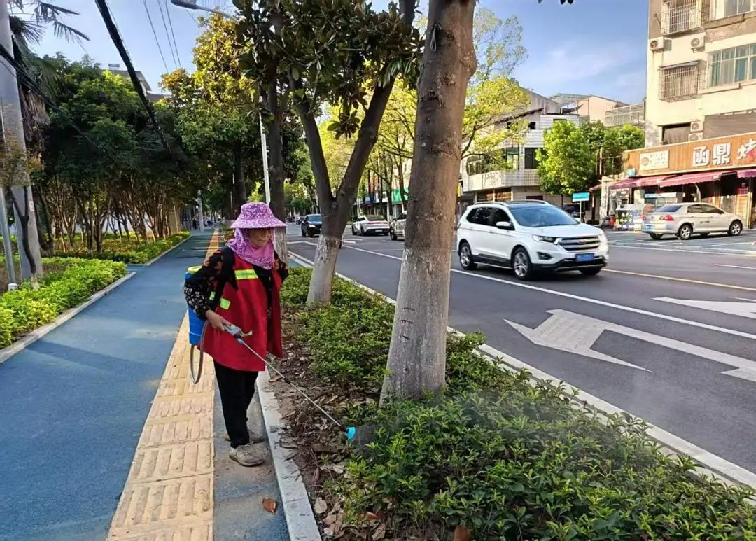 市城运集团鸿韵公司开展防蚊灭蚊专项行动(图2)
