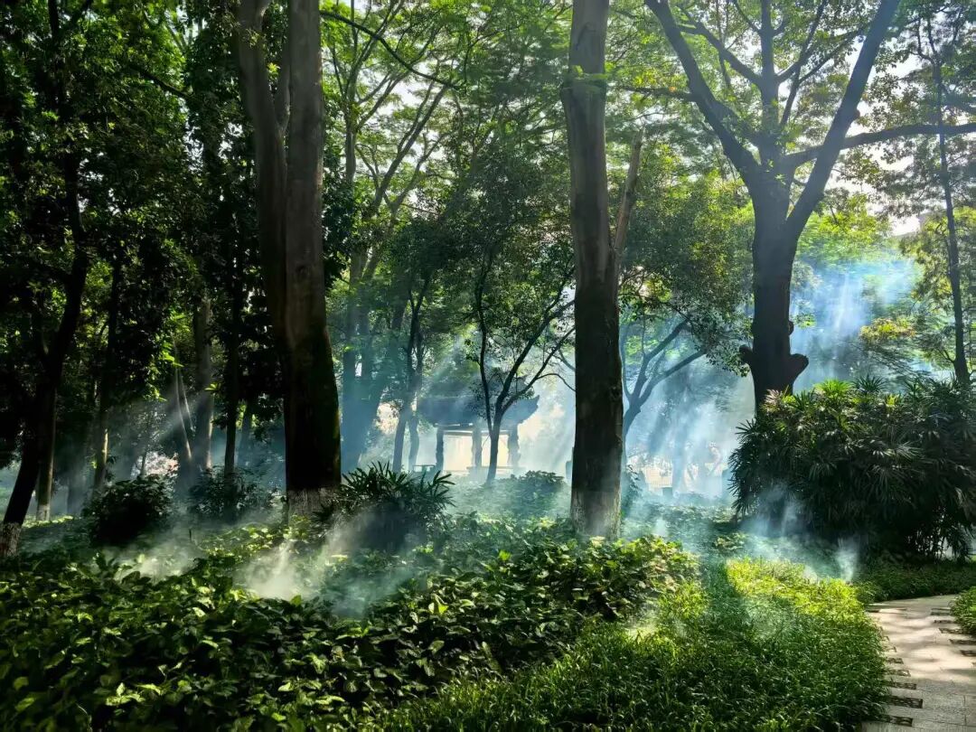 长泰：开展全域消杀筑牢防控屏障(图4)
