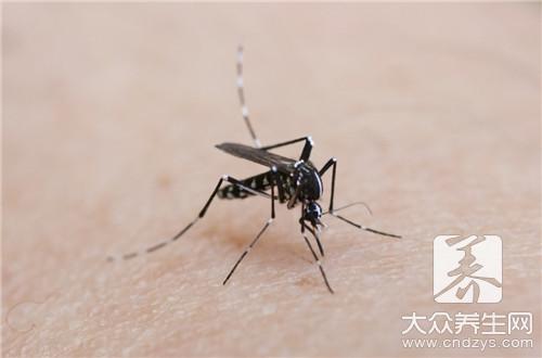 驱蚊虫最有效的方法(图1)
