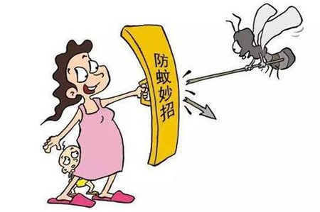 家里总有杀不完的蚊子驱蚊子方法小妙招(图1)