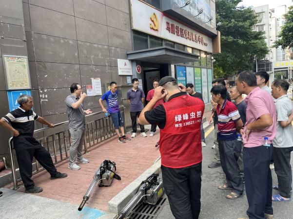 白沙街道：持续打响虫媒传染病防控攻坚行动(图2)