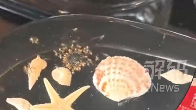 顾客称三亚超7000元一晚的酒店虫子成群酒店方致歉：将全面加大蚊虫消杀力度(图1)