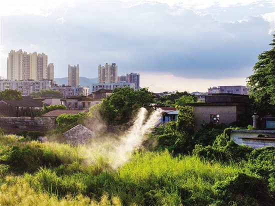 2025-09-28(图2)