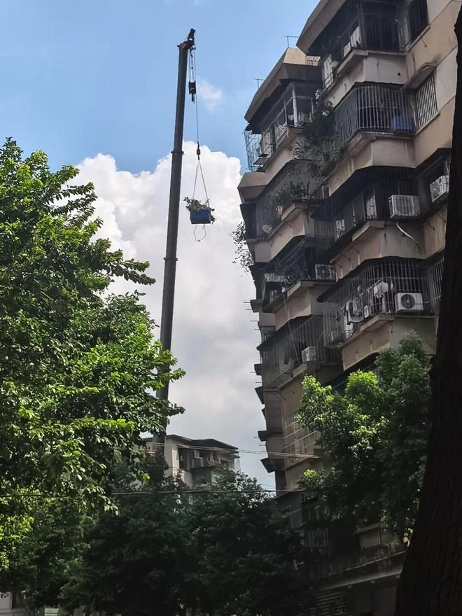 华园社区三维联动清理蚊虫孳生地让“干净、安全、宜居”成为社区常态(图2)