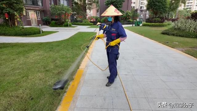 常态化消杀打头阵！肇庆一地统筹52个小区筑牢基孔肯雅热防线(图3)