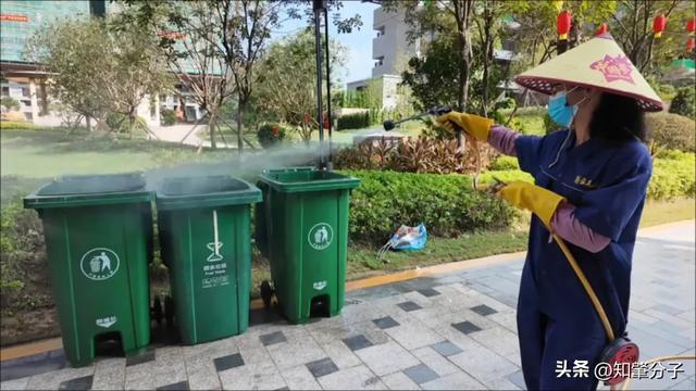 常态化消杀打头阵！肇庆一地统筹52个小区筑牢基孔肯雅热防线(图2)
