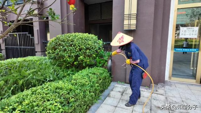 常态化消杀打头阵！肇庆一地统筹52个小区筑牢基孔肯雅热防线(图1)