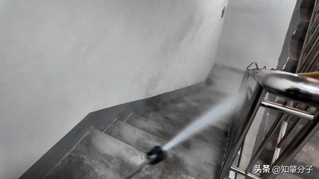常态化消杀打头阵！肇庆一地统筹52个小区筑牢基孔肯雅热防线(图5)