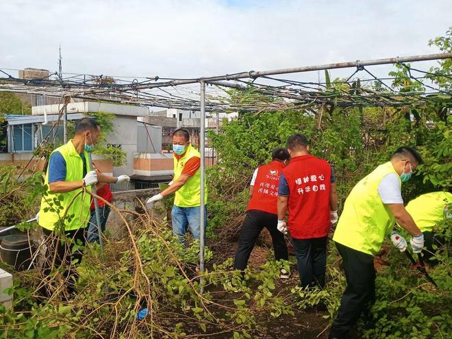 【蓬友·邻好】蚊虫克星集结！蓬江区社会组织多支部联动出击筑牢基孔肯雅热“防护墙”(图1)