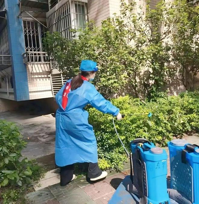 【蓬友·邻好】蚊虫克星集结！蓬江区社会组织多支部联动出击筑牢基孔肯雅热“防护墙”(图4)