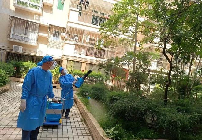 【蓬友·邻好】蚊虫克星集结！蓬江区社会组织多支部联动出击筑牢基孔肯雅热“防护墙”(图3)
