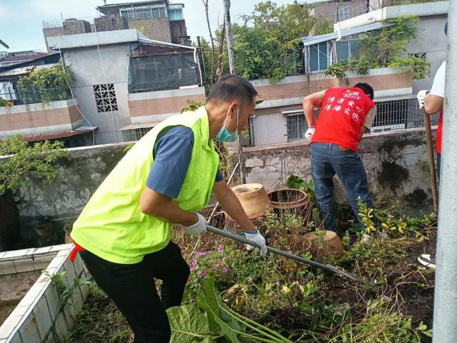 【蓬友·邻好】蚊虫克星集结！蓬江区社会组织多支部联动出击筑牢基孔肯雅热“防护墙”(图2)