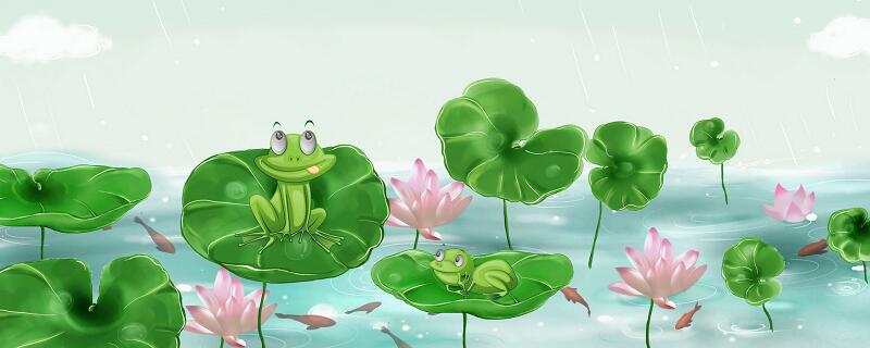 青蛙是昆虫类吗青蛙是不是昆虫类(图1)