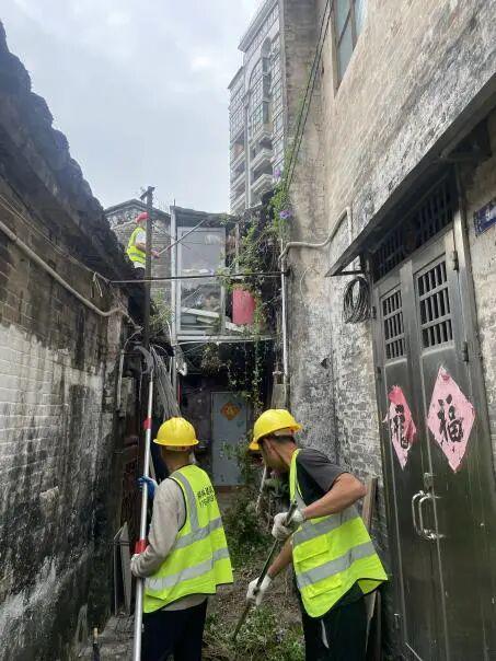 昔日“蚊虫温床”蝶变“洁净空间”！蓬江爱国卫生运动让环境焕新聚民心(图6)