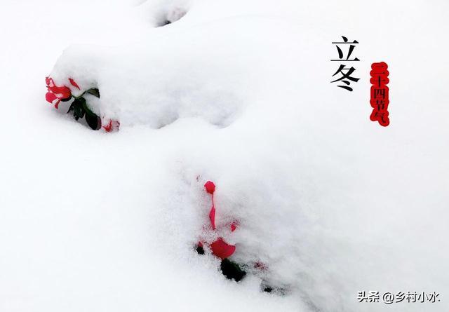 “不怕立冬雨就怕立冬晴”今日晴天有啥怕的？看老人咋说(图4)