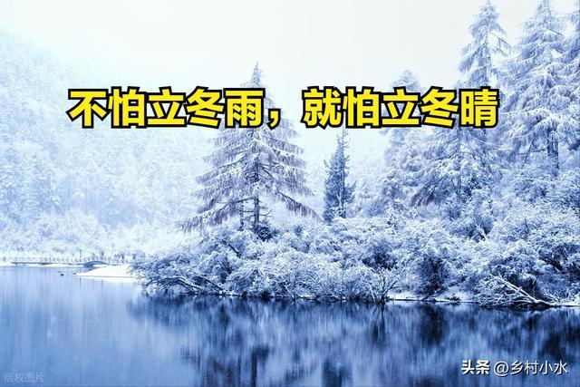 “不怕立冬雨就怕立冬晴”今日晴天有啥怕的？看老人咋说(图1)