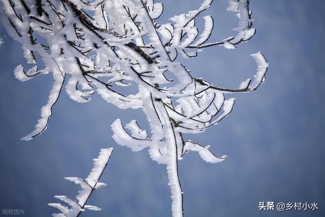 “不怕立冬雨就怕立冬晴”今日晴天有啥怕的？看老人咋说(图6)