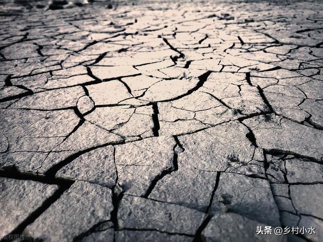 “不怕立冬雨就怕立冬晴”今日晴天有啥怕的？看老人咋说(图7)