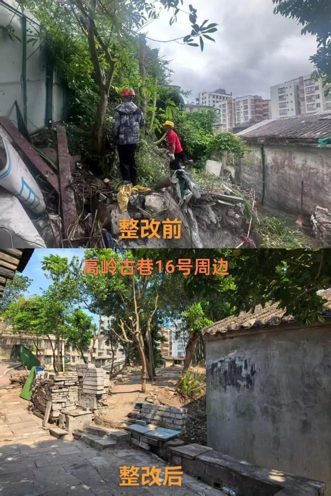 区农业农村和水利局：三大领域精准施策绘就城乡环境“焕新”画卷(图4)