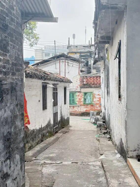 区农业农村和水利局：三大领域精准施策绘就城乡环境“焕新”画卷(图2)