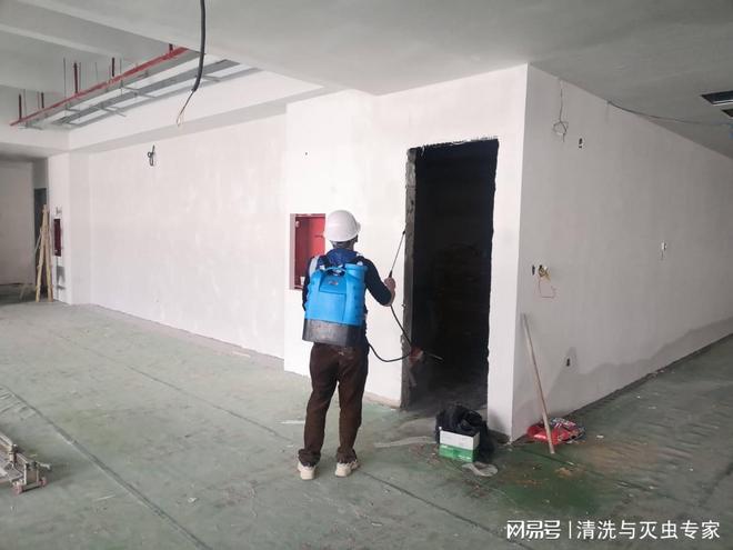 惠州白蚁防治多少钱(图3)