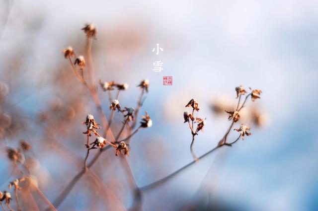 十月初三小雪节气为何说“最怕小雪一日晴”？天晴有啥预兆(图1)