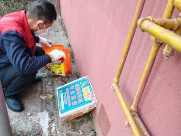 平顶山市石龙区：深入开展“清死角灭鼠患剿虫卵保健康”冬季专项消杀活动(图2)