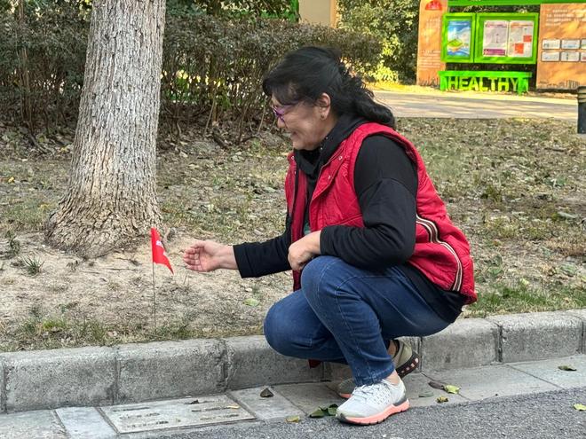越冬蚊控制成“实战”松江探索“大居”病媒生物防制新模式(图1)