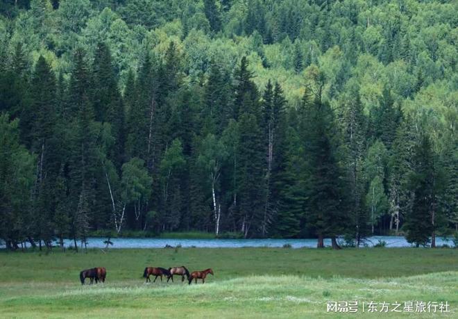 七月阿勒泰亲子牧歌：住进草原深处带娃体验最纯净的自然课堂(图2)