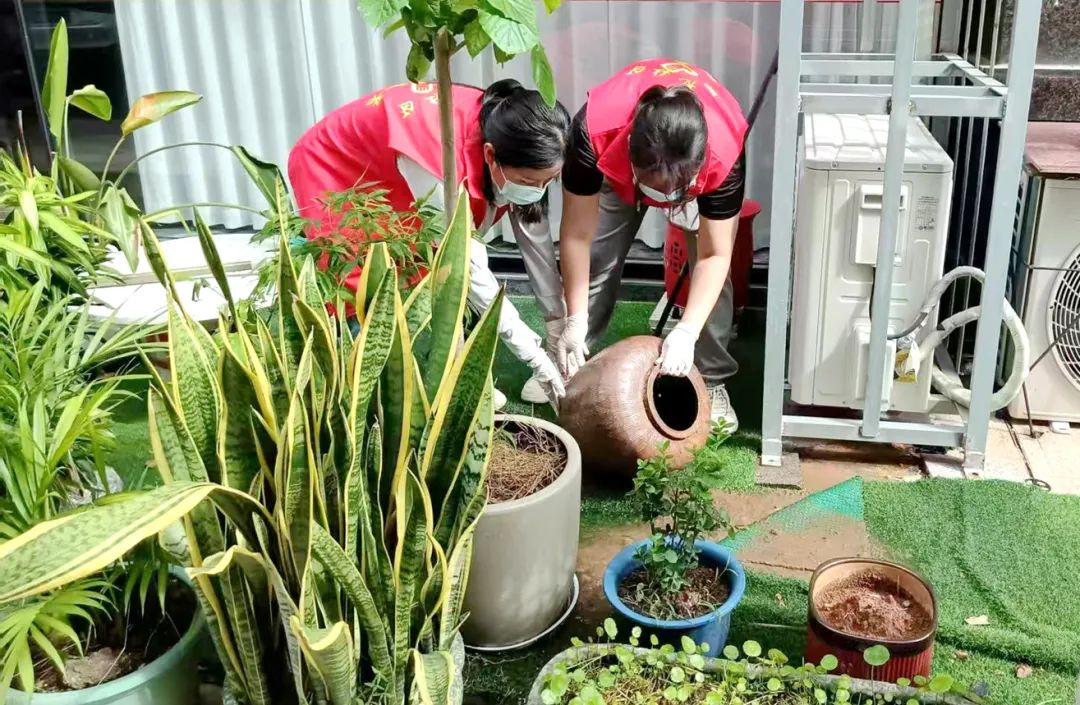 齐动手大扫除漳州台商区组织开展夏秋季爱国卫生运动(图2)