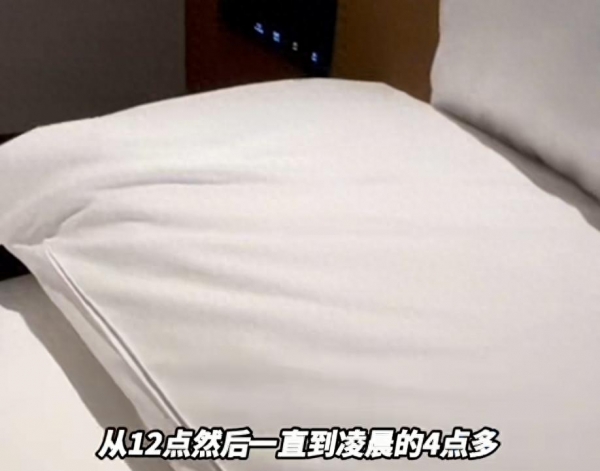 “连换5间房都有活虫”！女子深夜崩溃上海高档连锁酒店回应(图1)