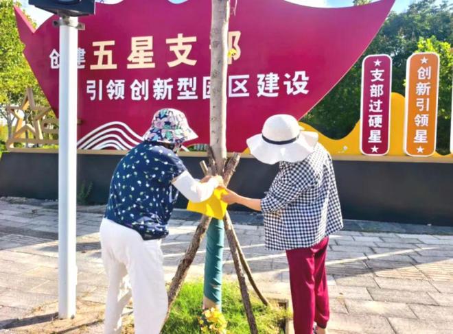 “白加黑”错峰作业！漯河城管全力开展“小白虫”集中防治守护城市生态(图4)