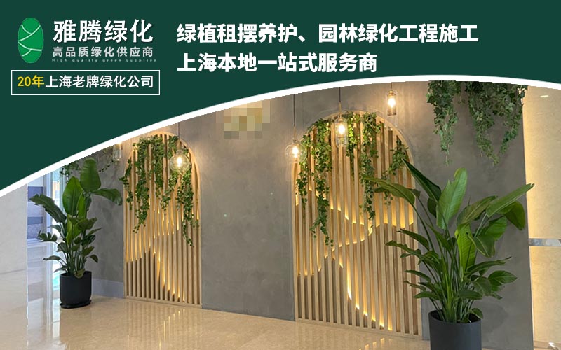 2026年初上海绿植租赁机构服务商竞争格局深度分析报告(图1)