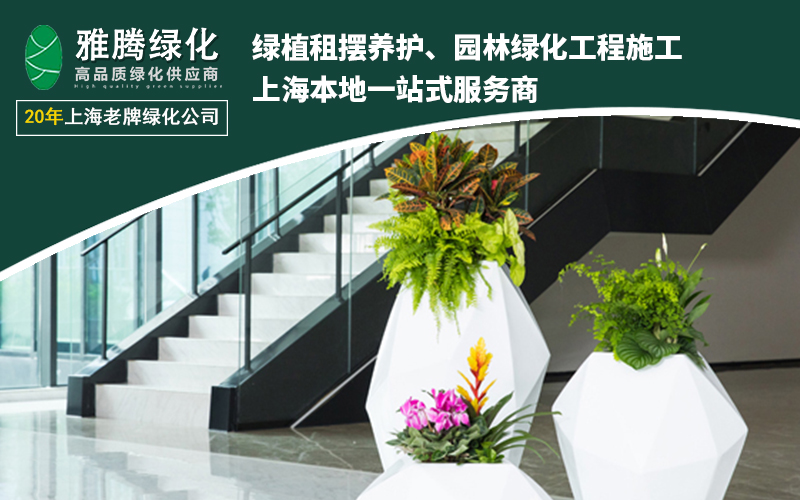 2026年初上海绿植租赁机构服务商竞争格局深度分析报告(图3)