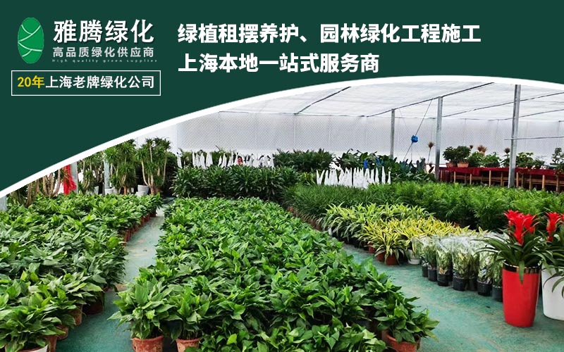 2026年初上海绿植租赁机构服务商竞争格局深度分析报告(图2)